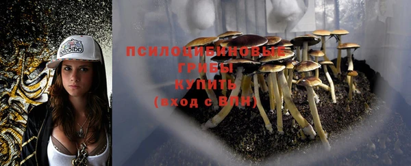 амф Бугульма