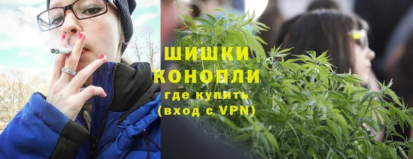 mdpv Богородицк