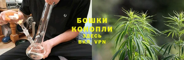 mdpv Богородицк
