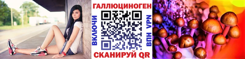 Галлюциногенные грибы Psilocybe  где можно купить   Нижний Новгород 
